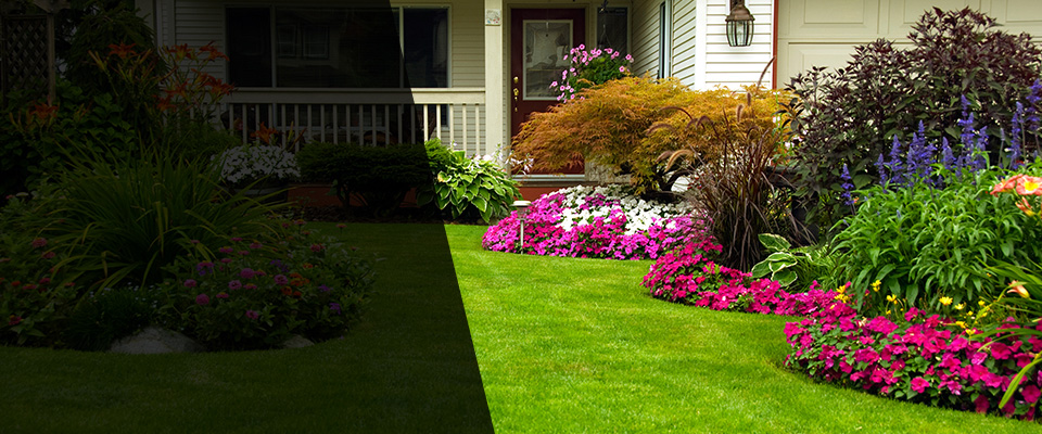Cathedral City Landscapers