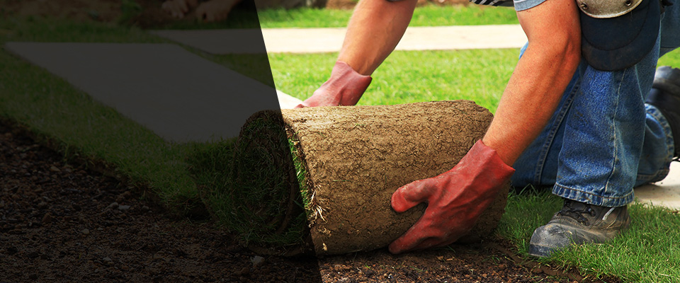 Cathedral City Landscapers